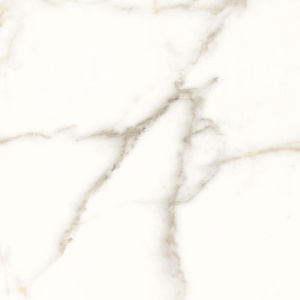 Dlažba Trilogy calacatta white soft 60x60 cm